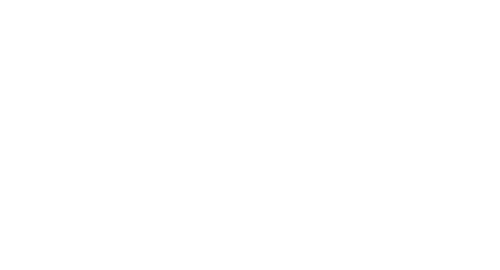 WordPress logotype alternative white